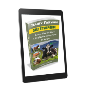 Dairy Farming Business in Kenya: The Ultimate Guide to Success